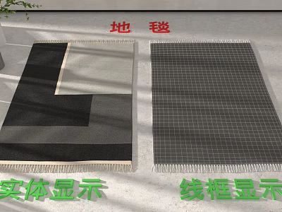 Floor With Carpets In Solid And Wireframe Displays 3d model