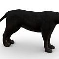 Realistic 3D Rendered Wild Black Panther Standing Posture With Sharp Eyes And Black Fur