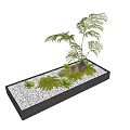 Lush Ferns and Palm Plants in Black Rectangular Planter with White Pebbles and Green Moss