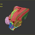 Futuristic Biomechanical Character With Pink And Gray Mechanical Armor Design Structure