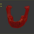 3D Rendered Detailed Game and Movie Character Skeleton Jawbone With Brown Orange Teeth Structure