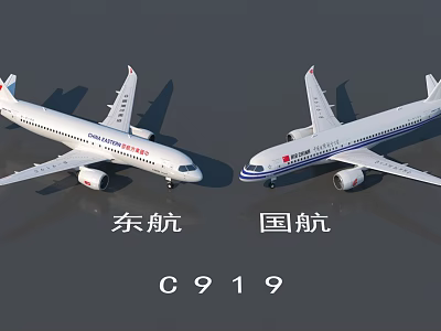 China Eastern Airlines and Air China C919 Passenger Aircraft Parked Side by Side 3d model