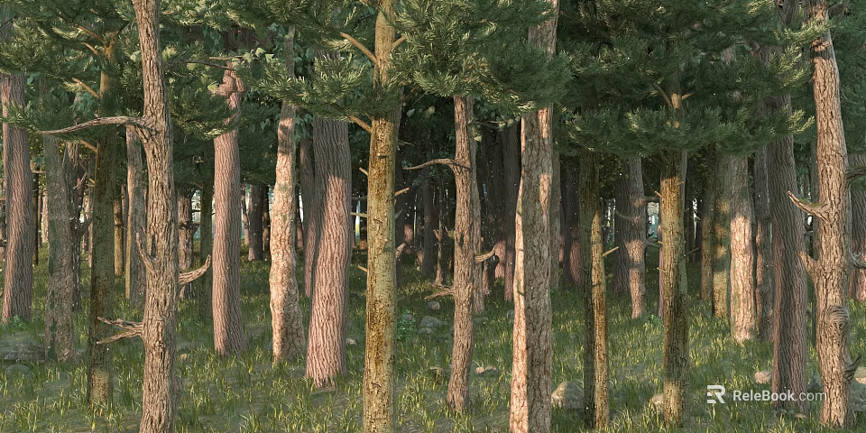 Tranquil Forest Landscape With Tall Trees Green Foliage Grass And Stones 3d model 