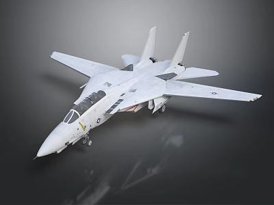 Modern Fighter Next Generation Aircraft 3d model