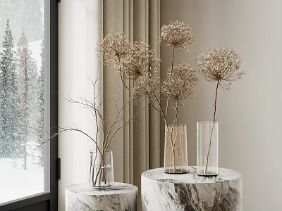 Dried Flowers in Transparent Vases on Marble Pedestals by Window with Snowy View 3d model