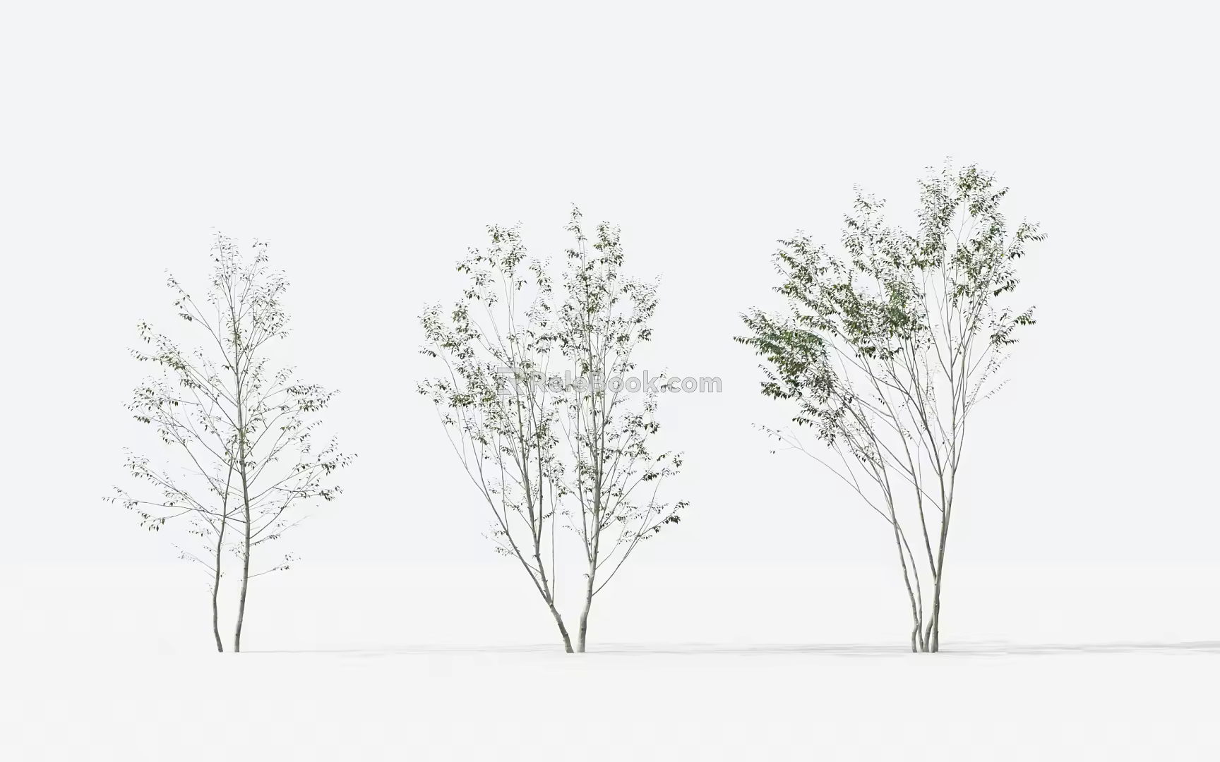 Modern Trees Small Trees 3d model