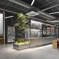 Industrial Style Bicycle Store Interior Design with Green Plant Bicycle Decorations and Modern Counter