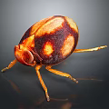 Reddish Brown Beetle With Yellow Spots And Orange Legs On Dark Background