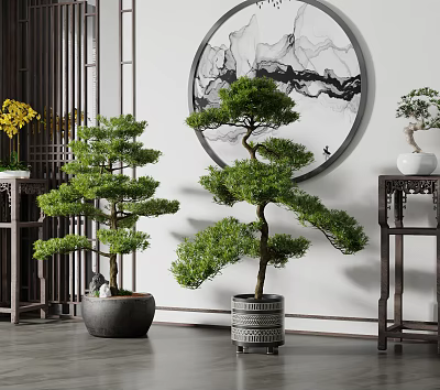 New Chinese Bonsai Green Plant 3d model New Chinese Bonsai Green Plant 3d model