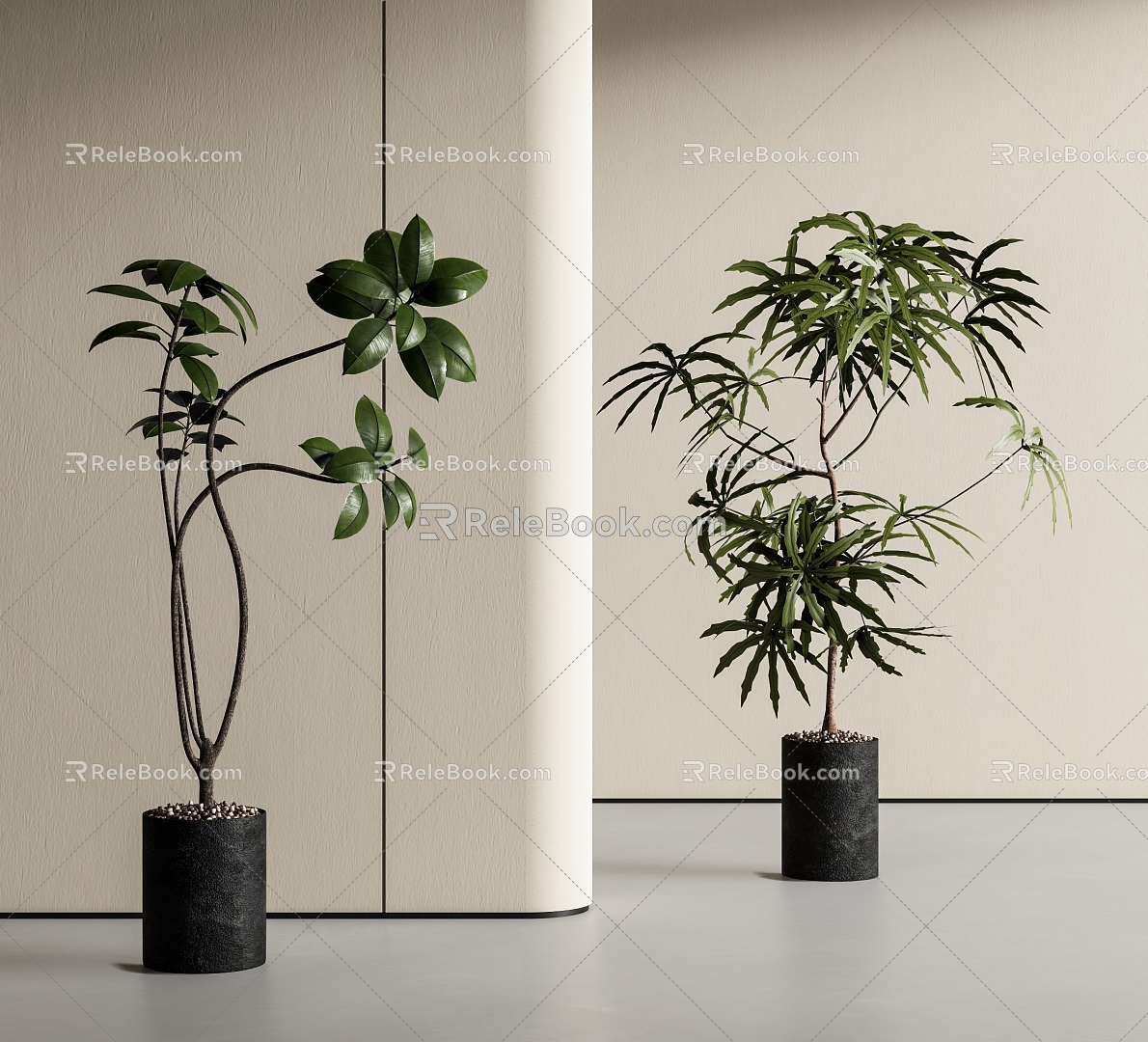 potted plant, green plant, potted plant, landing 3d model