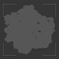 Two Tall Arbor Trees with Lush Green Foliage and Human Silhouette for Size Comparison