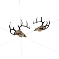 Decorative Deer Skulls With Intricate Antlers For Home Decoration