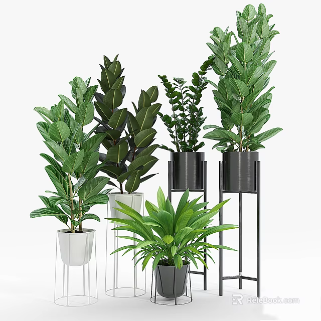 Various Indoor Potted Plants with Large Green Leaves Modern Metal Stands and White Black Planters 3d model 