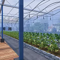 Indoor Greenhouse Plant Cultivation With Neatly Arranged Beds Wooden Walkway And Overhead Lighting