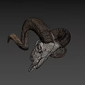 Detailed Ram Skull With Large Curved Horns On Black Background
