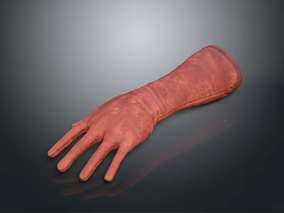 Red Human Hand Organ Model with Realistic Skin Texture and Fine Hair Details 3d model