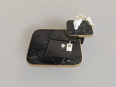 Luxury Black Marble Coffee Table With Golden Edges And Side Table With White Flowers 3d model