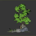 Green Leafy Plant With Stones Small Waterfall Moss And Pathway