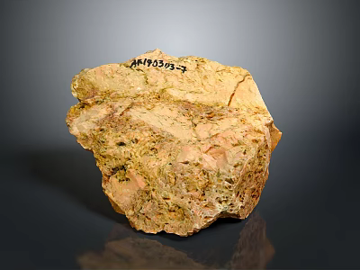 Natural Raw Yellowish Brown Mineral Stone Sample With Rough Texture And Numbered Marking 3d model