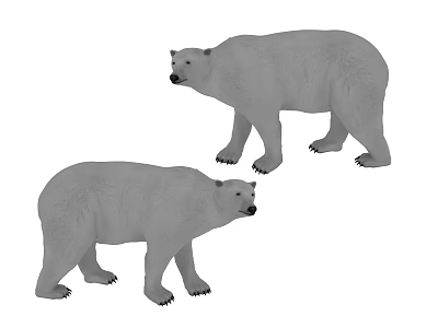 Two Polar Bears With Thick White Fur Standing On White Background 3d model