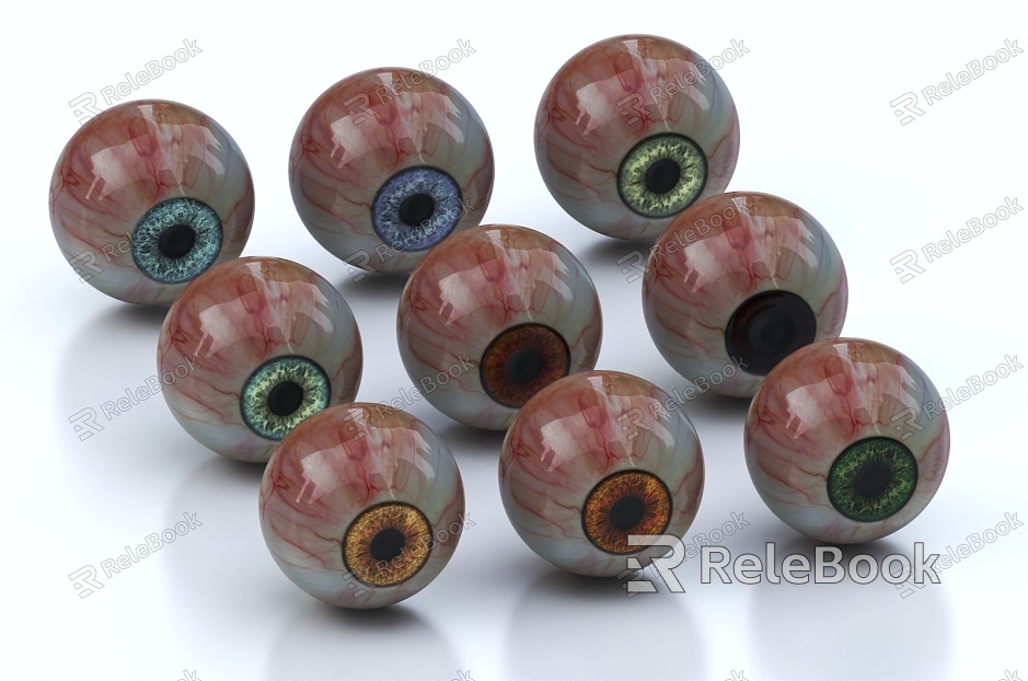 modern eyeball model