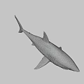 Fierce Shark Character From Game And Movie With Sharp Teeth And 3D Design