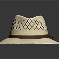 Stylish Straw Hat As Daily Life Essential With Perforated Design And Brown Leather Band