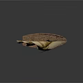 modern sailing ship ancient ship ancient warship large ancient ship ancient warship 3d model