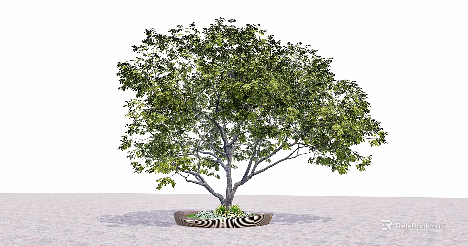 Lush Green Arbor Tree With Thick Trunk In Decorative Planter 3d model