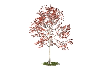 modern tree flowers plants 3d model