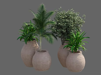 Elegant Bonsai Potted Plants in Clay Pots Featuring Various Green Plant Species 3d model