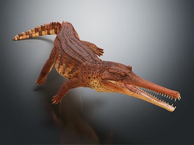 Modern Crocodile Alligator 3d model