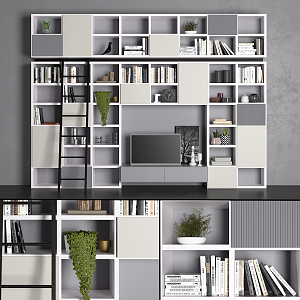 Modern Bookcase TV Cabinet 3d model