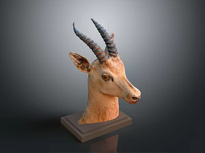 Lifelike Antelope Head Taxidermy Mount Display On Wooden Pedestal Stand 3d model