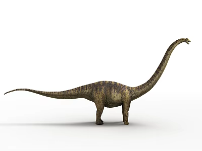 Giant Dinosaur With Long Neck Tail And Textured Skin In 3D Render 3d model