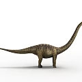 Giant Dinosaur With Long Neck Tail And Textured Skin In 3D Render