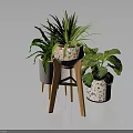 Potted Green Plants In Speckled Pots On Wooden Tripod Stand With Dark Reflective Surface Arrangement