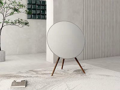 White Circular Headphone Speaker With Wooden Stand In Modern Room With Plant Bookshelf And Carpet 3d model