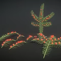 Lush Green Foliage With Vibrant Red Berries Decorative Plant For Home Decoration