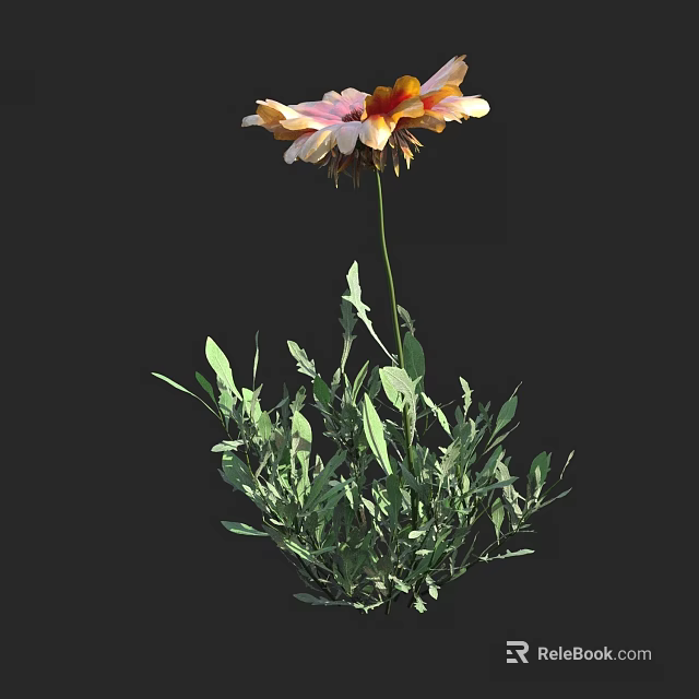 Lush Botanical Flower With Vibrant Orange And Pink Petals Green Leaves And Stem 3d model 