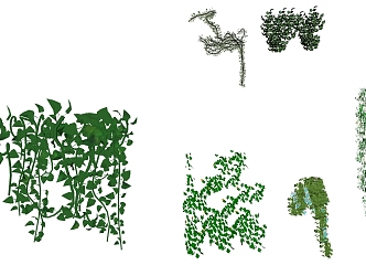 Modern Vine Green Plant Green Plant Wall Combination 3d model