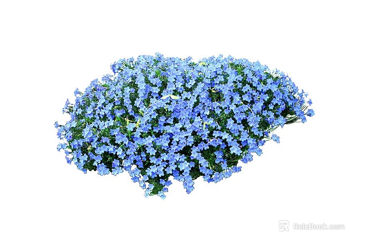 Blooming Garden Shrub With Vibrant Blue Flowers And Lush Foliage 3d model 