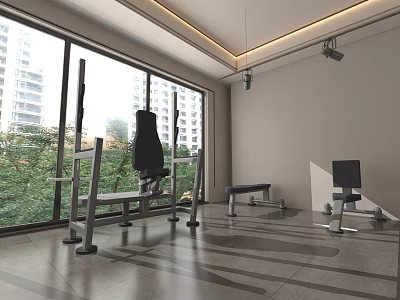 Spacious Home Gym With Large Windows City View And Fitness Equipment 3d model