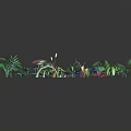 Colorful Cartoon Scene With Various Plants Flamingo Tropical Flowers And Leaves