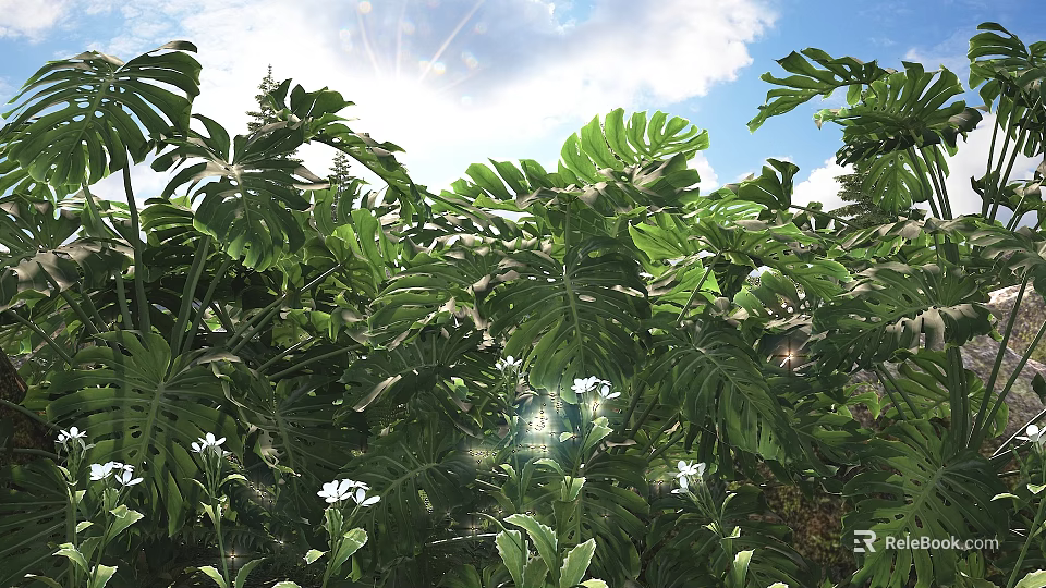 Bonsai Potted Plant with Lush Monstera Leaves White Flowers and Sunlight Shine 3d model 