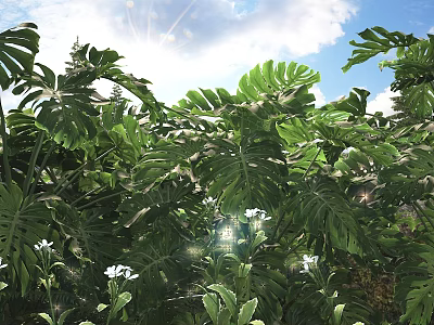 Bonsai Potted Plant with Lush Monstera Leaves White Flowers and Sunlight Shine 3d model