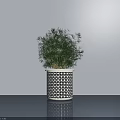 Bonsai Potted Plant in Black White Geometric Pattern Pot with Green Foliage on Gray Floor