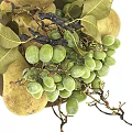 White Bowl Filled With Fresh Green Grapes And Yellow Pears With Leaves