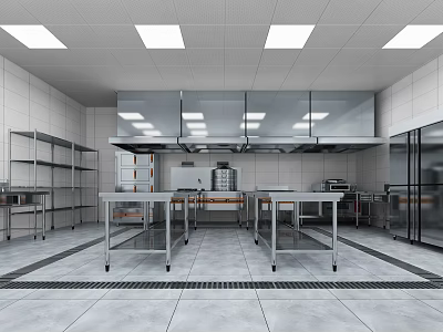 Commercial Kitchen With Stainless Steel Worktables Metal Shelves Refrigeration Units And Ceiling Lighting 3d model