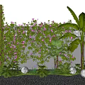 Climbing Vines With Purple Flowers And Green Leaves On Wall With Round Lights